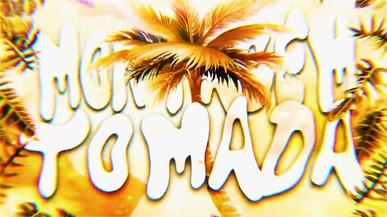 MONTAGEM TOMADA (Official Visualiser)