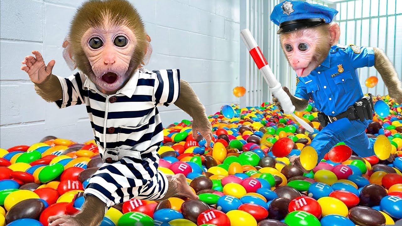 Monyet Bon Bon Imut melarikan diri dari labirin misterius dan menangkap pencuri roti lapis