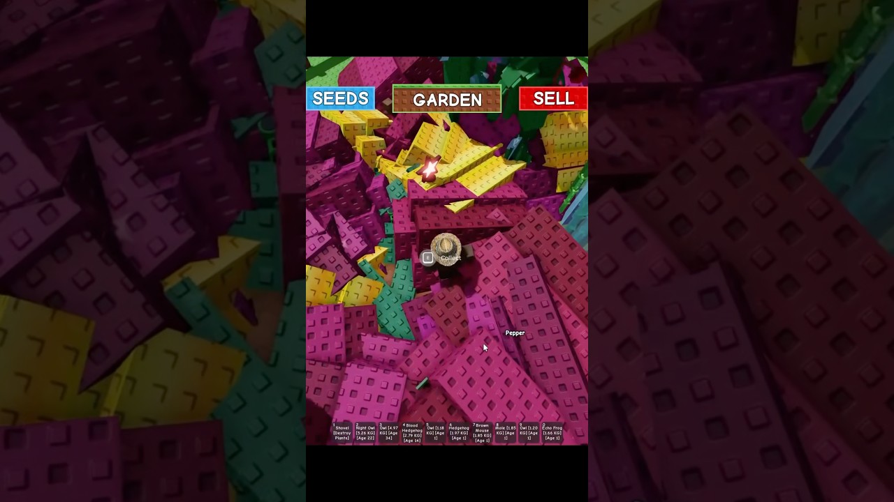 Moon Melon Method in Grow A Garden Roblox #growagarden