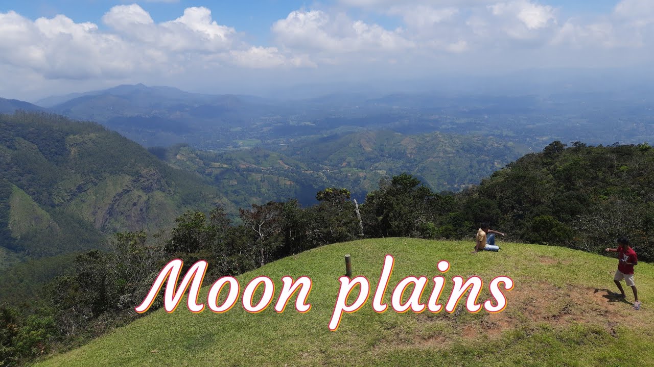 Moon Plains In Newara Eliya || Sri Lanka || Moon Plains safari Video