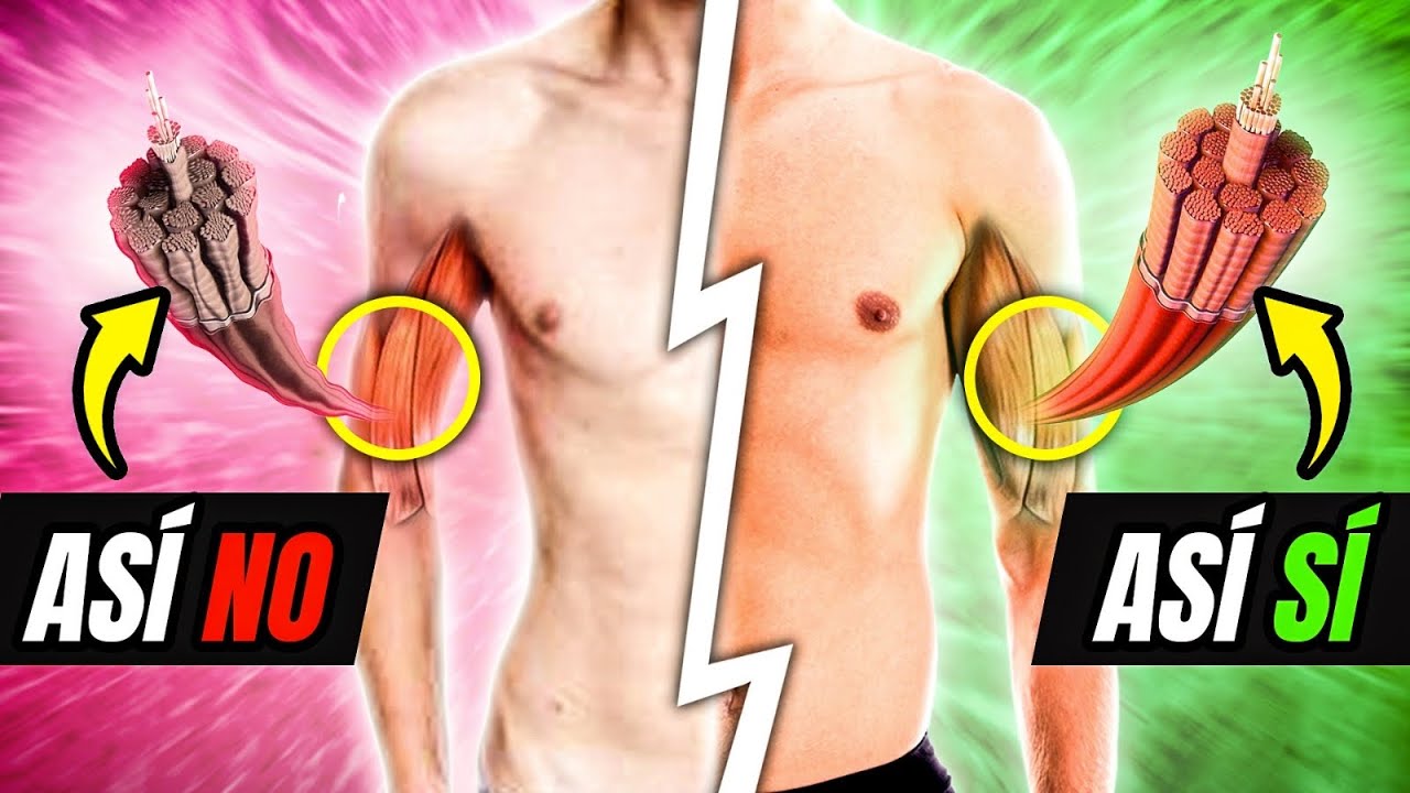 More STRENGTH and Fewer INJURIES💪OPTIMIZE YOUR MUSCLE RECOVERY: The Definitive Guide