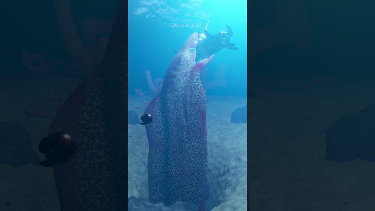 Morena gigante atrapa un SUBMARINO I #shorts