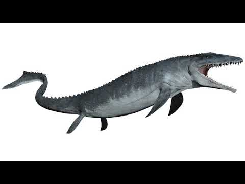Mosasaurus Sounds
