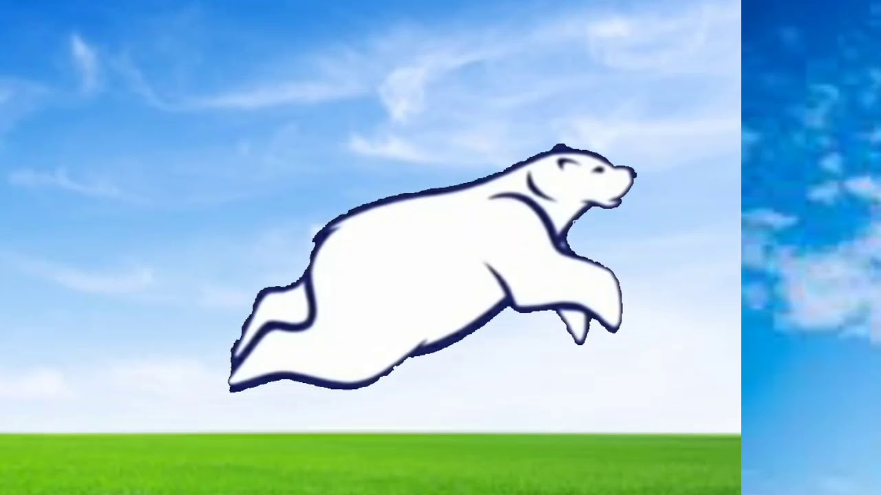 (MOST POPULAR VIDEO) Polar Bear Flying To The Nelvana Logo