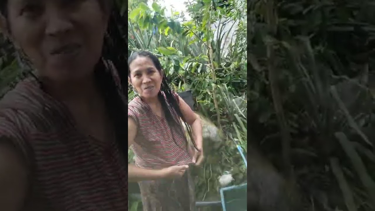 Mother bathing 😄