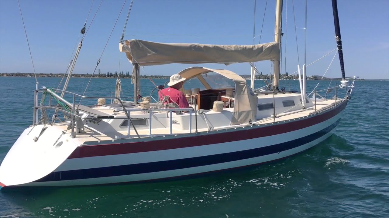Mottle 33 Cruising yacht - Walkthrough