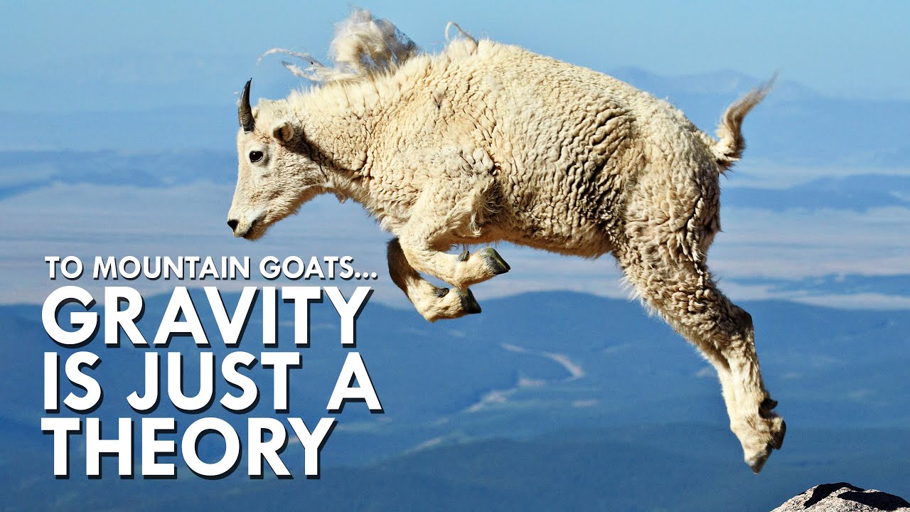 Mountain Goats Don’t Believe In Gravity