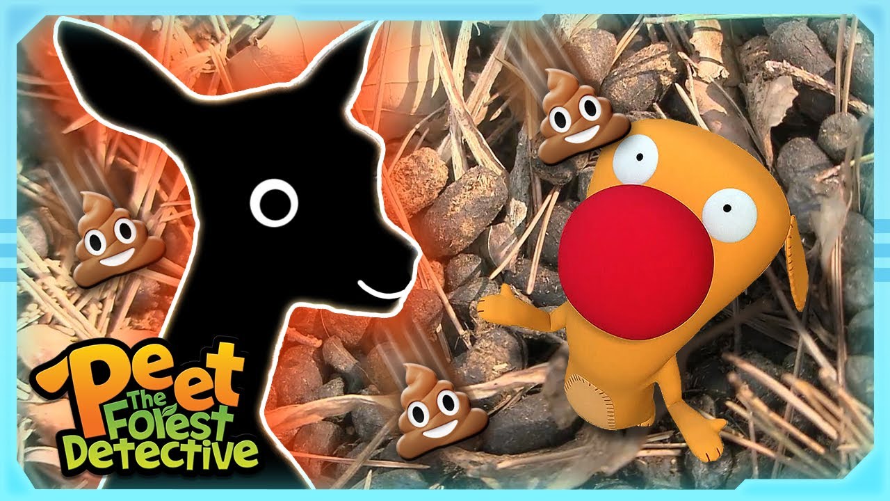Mouse, Deer, & Mystery Poo! | Nature Stories For Kids | Peet The Forest Detective