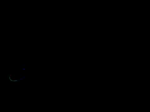 MOV02889