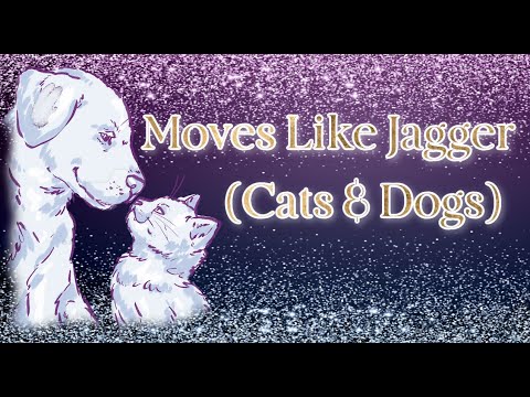 Moves Like Jagger (Cats & Dogs)