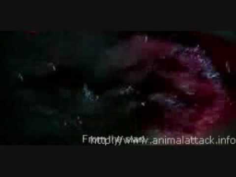 Movie Stills From Krai Thong 2 (2005)