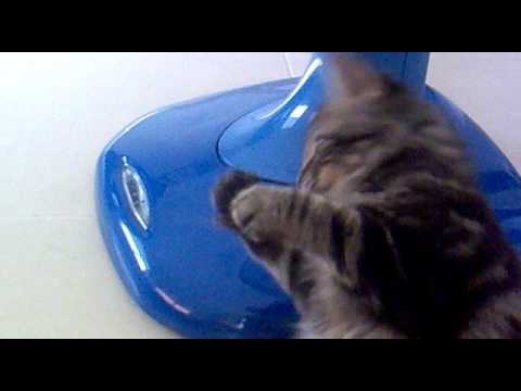 วีวี่.mp4