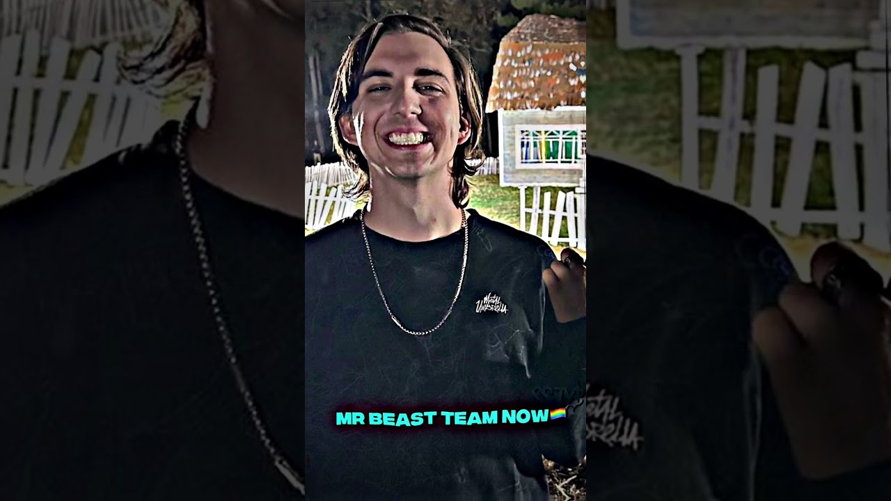 Mr Beast Members Now VS The Only Sigma Left 🍷💀 | #sigma #mrbeast #chandlerhallow #christyson