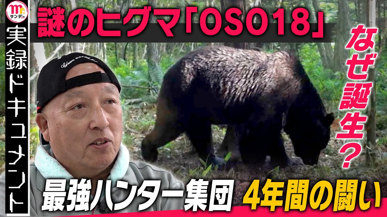 【Mr.サンデー】OSO18 生みだした人間の業【実録ドキュメント】