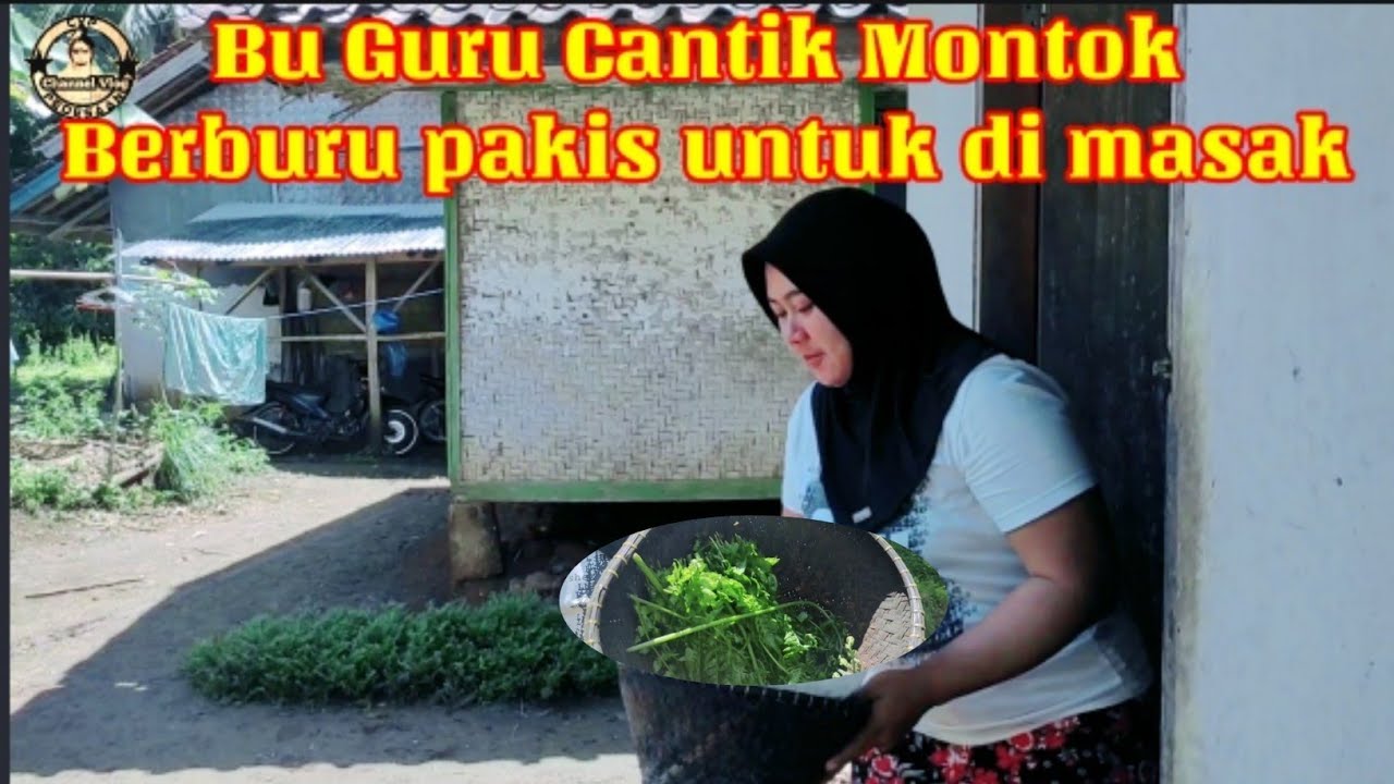 Ms. Beautiful Chubby Teacher Hunting for Fern Leaves for Cooking||  live in the village
