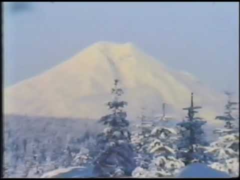 #MSH45 | March 16, 1980