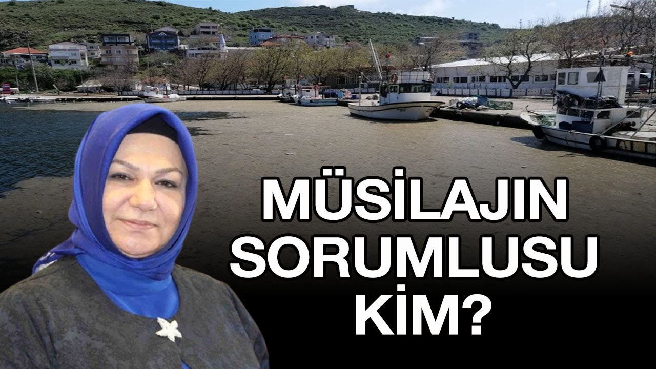 #Müsilajın sorumlusu kim? Sancaktepe Belediye Başkanı Şeyma Döğücü'den çarpıcı tespit!