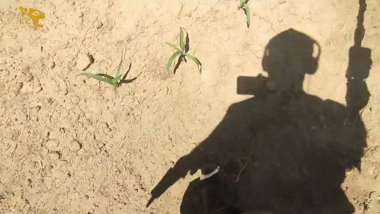 Mısır tarlasında metal avı #metaldetecting