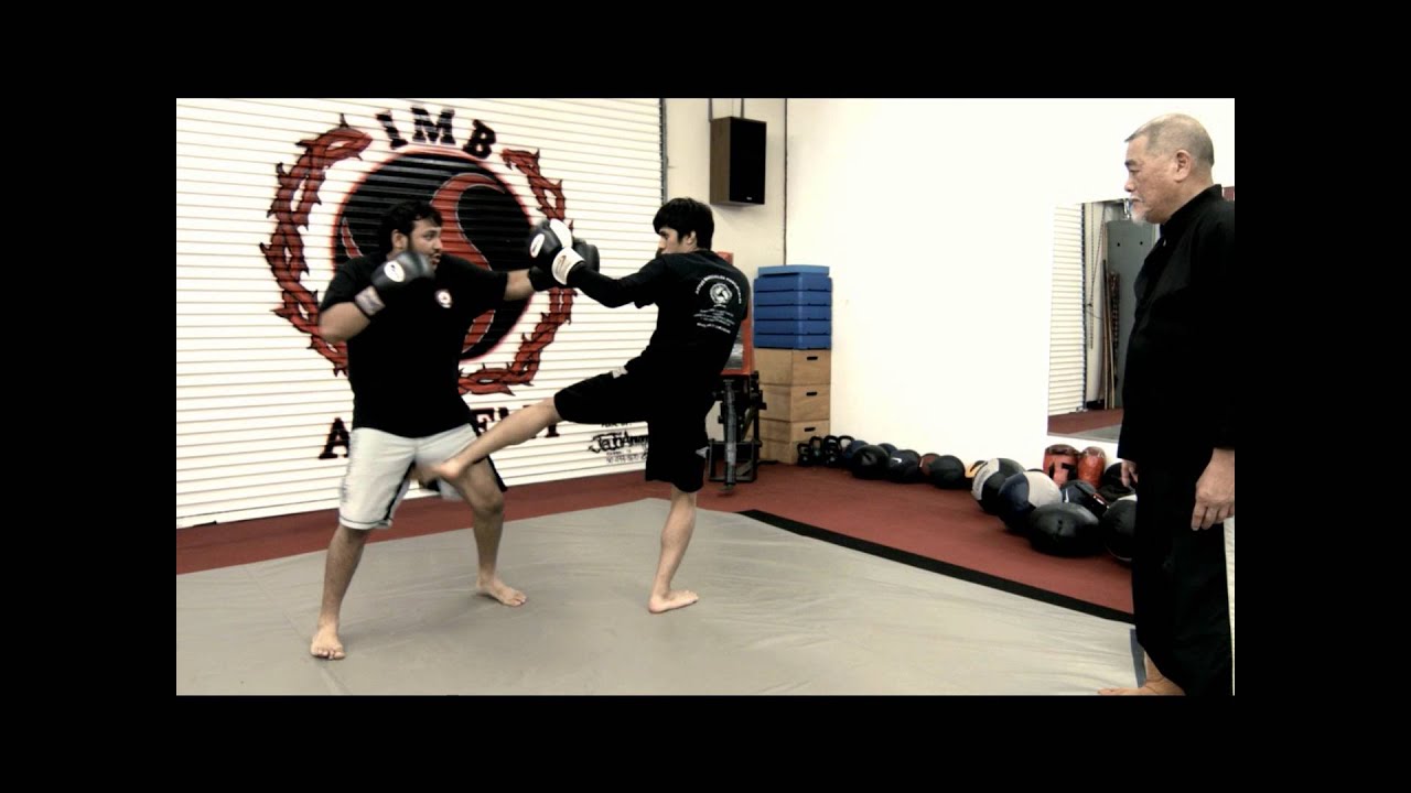 Muay Thai -  Counterpunching Kicks