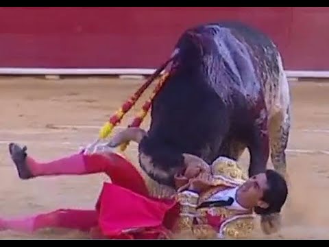 Muere corneado el torero Víctor Barrio