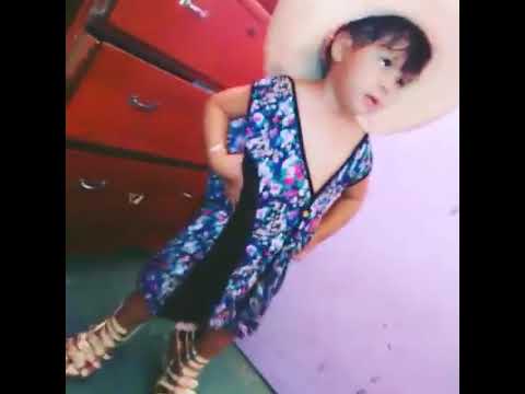 Mueve el toto