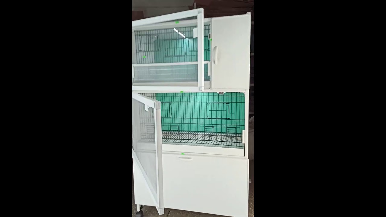 MUHABBET KUŞU KAFESİ - SALMALI