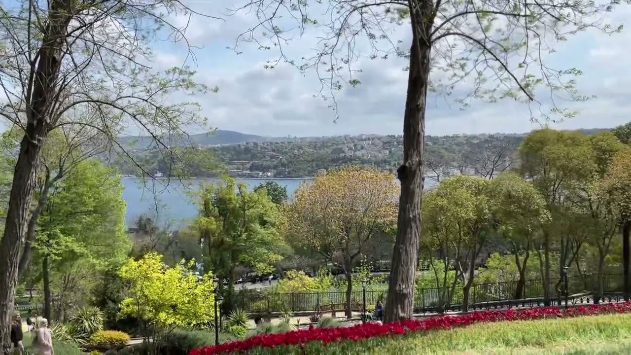 MUHTEŞEM EMİRGAN MANZARASI #travel #yaz #tatil #istanbul #emirgan #manzara #gündüz #laledevri #