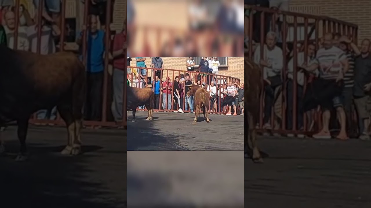 Mujer herida por asta de toro