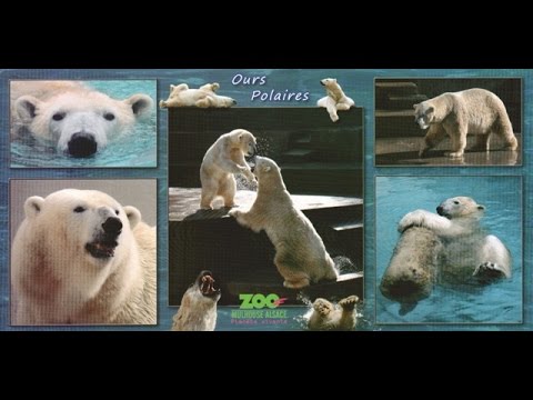 Mulhouse Zoo
