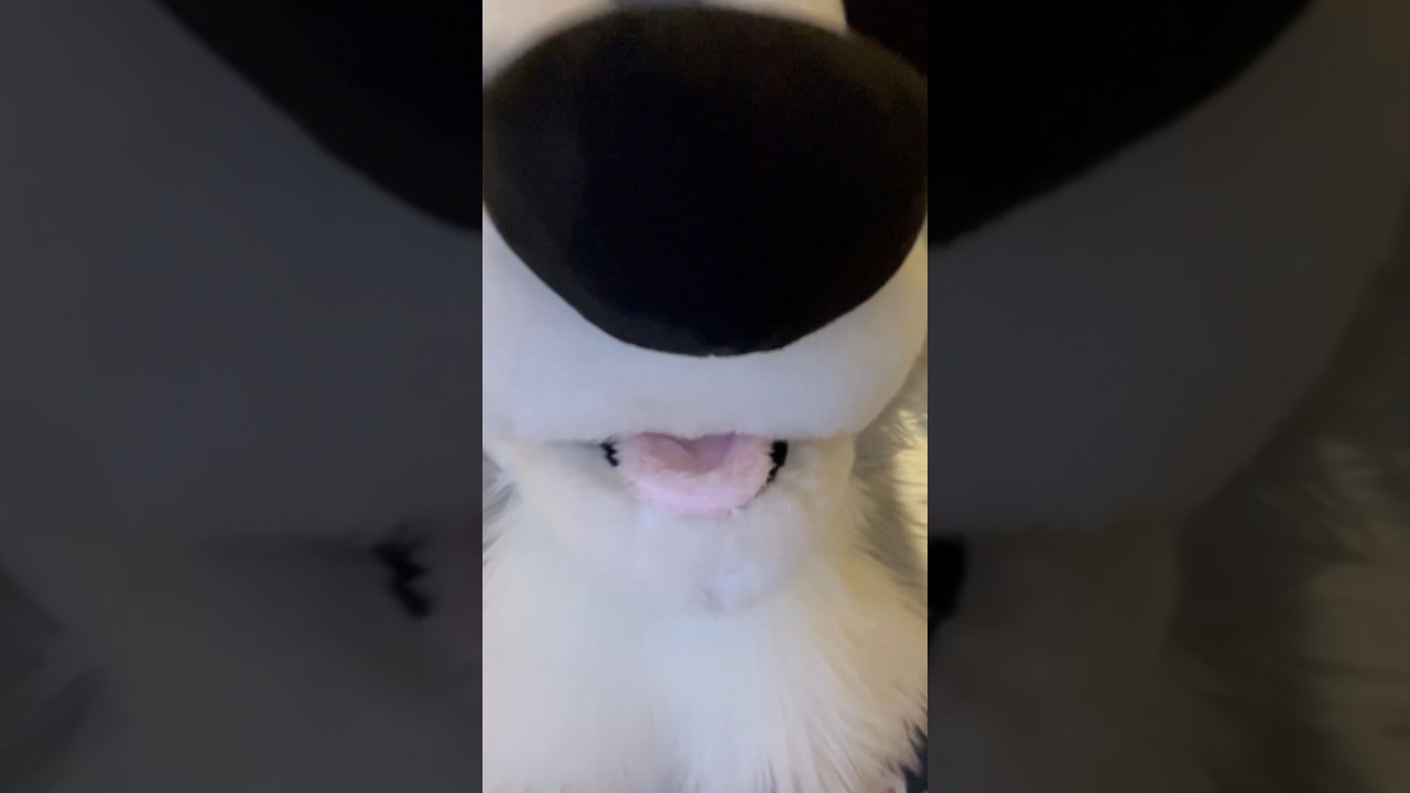 Multi-burp