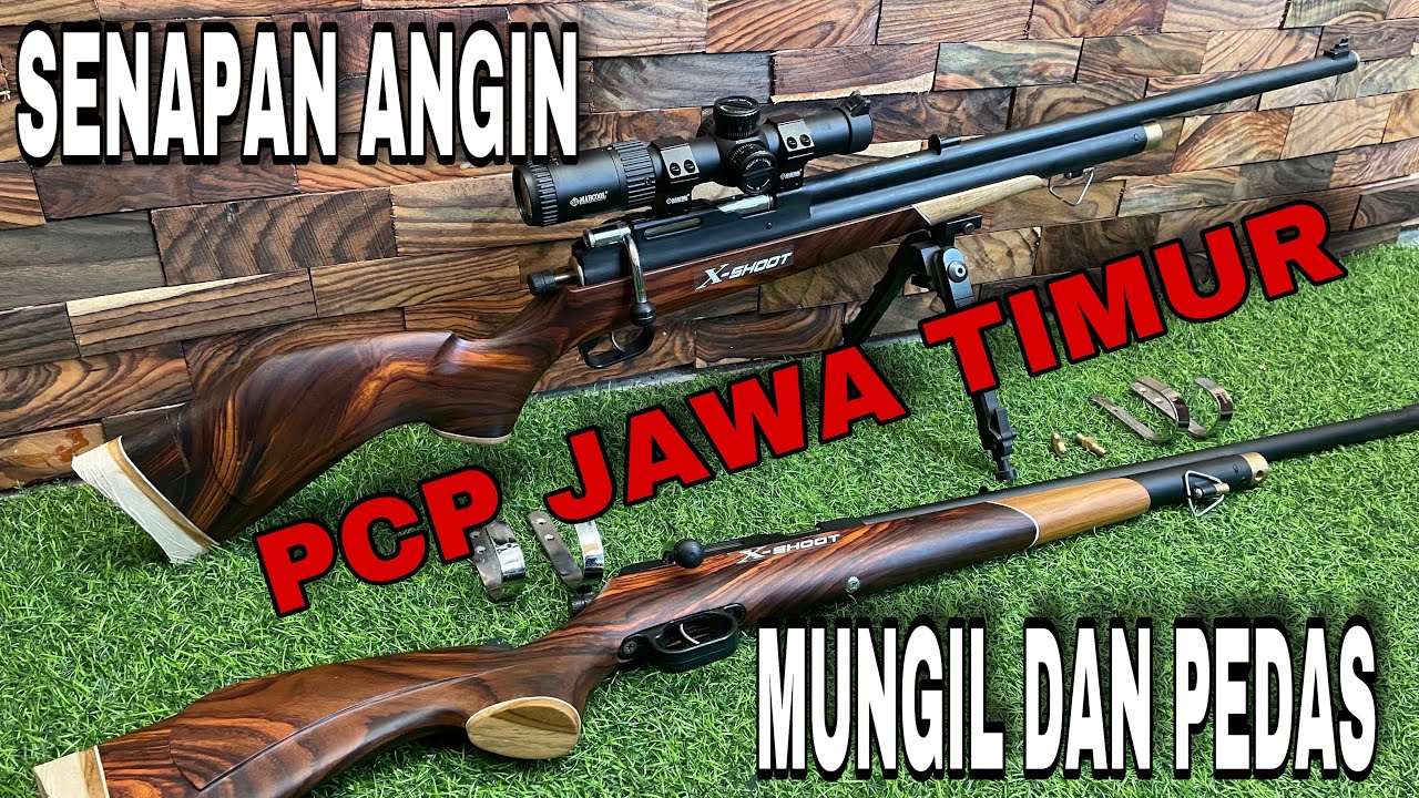 MUNGIL DAN PEDAS🔥SENAPAN ANGIN PCP JAWA TIMUR