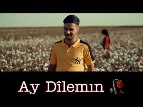 Murat Dağ X Servet Tunç AY DILEMIN [ OFFİCİAL VİDEO ] (KURDİSH TRAP)