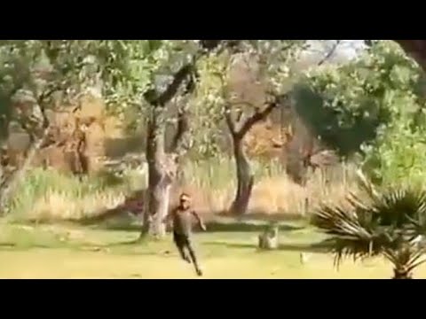 Murife don't run original Video meme 2022