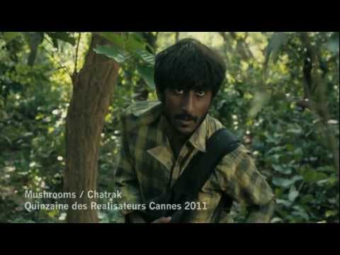 Mushrooms (Chatrak) 2011