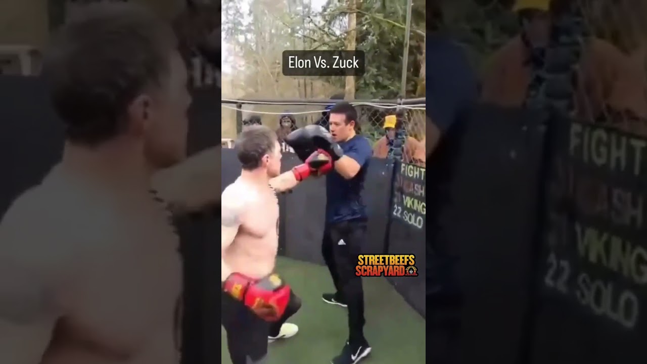 Musk vs Zuck #boxing #elonmusk #markzuckerberg #Musk #Zuck #elon #mma #ufc #ufc #mma #fight #ko