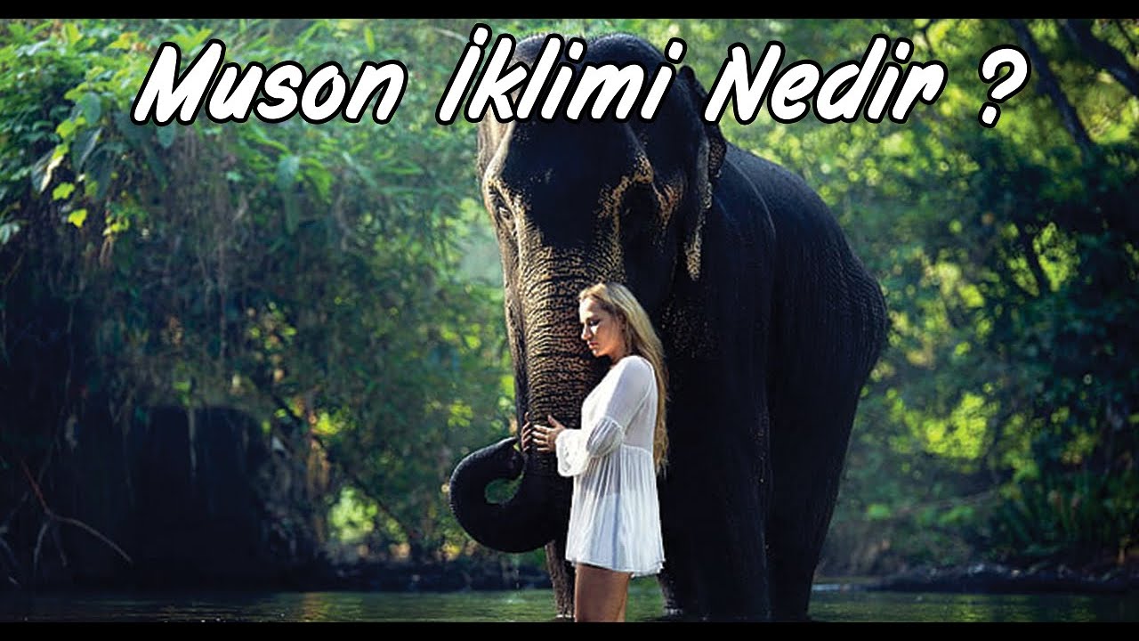 Muson İklimi Nedir ? | TYT