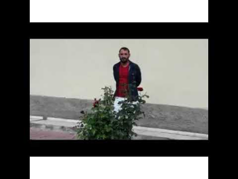 MUSTAFA BALCI | Rüzgar Değdi Dalımıza MUSTAFA BALCI - Rüzgar Değdi Dalımıza | (Ağlama)