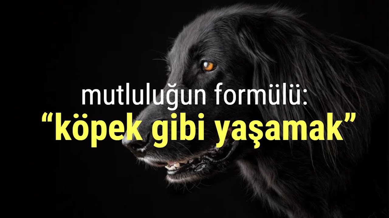 Mutluluğun formülü: 
