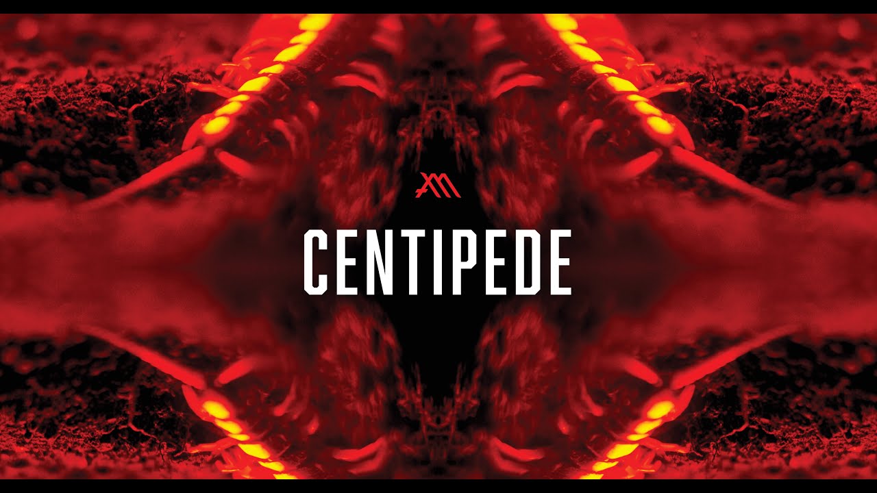 MUTUM / CENTIPEDE (Official Video)