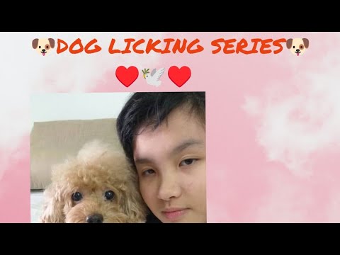 My dog licking me - part 2