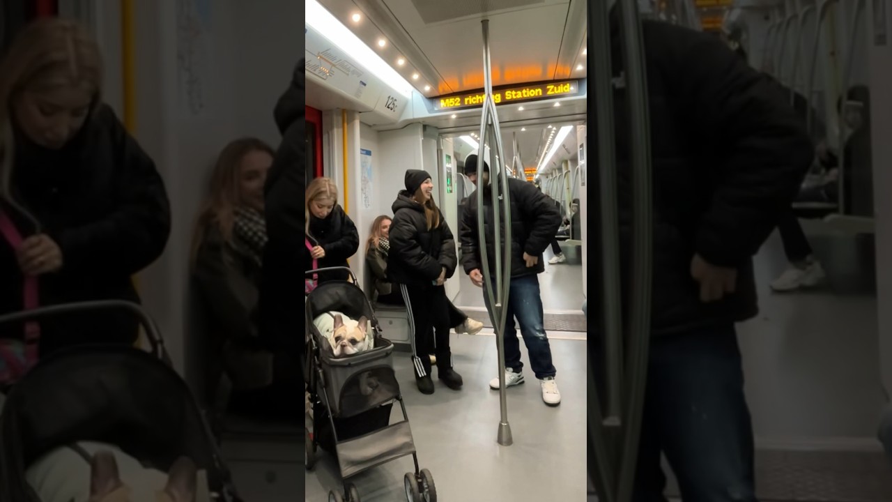 My dog talked to tourists in the subway #dog #funny #pets