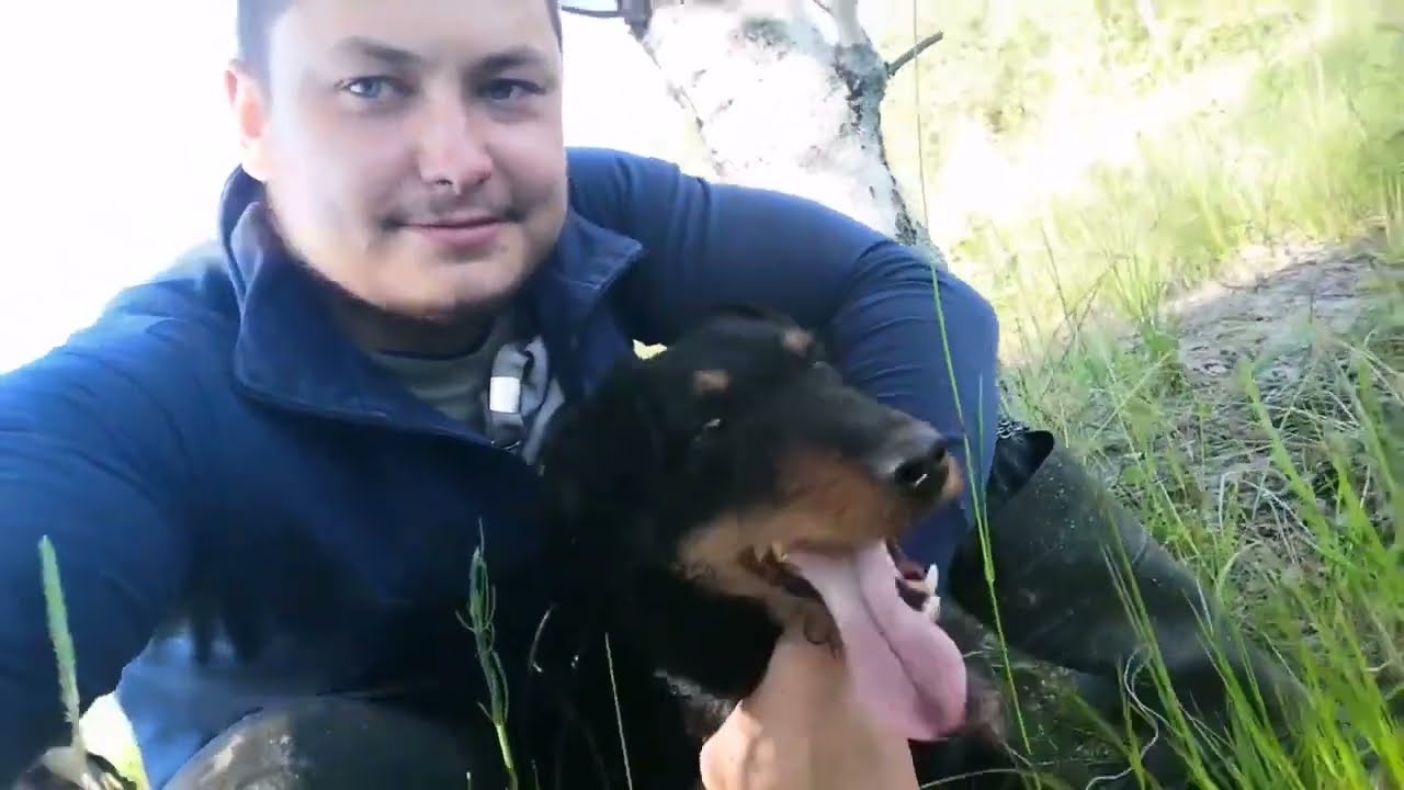 My friend is a German Jagdterrier