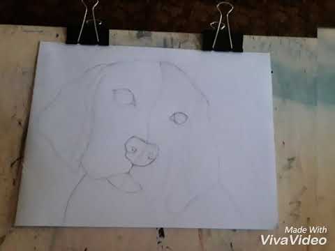 My handmade Dog by Esedova Sema