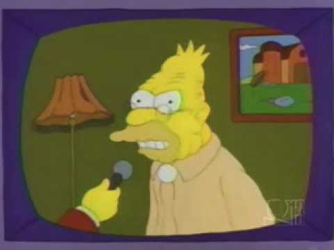 My homer is not a communist