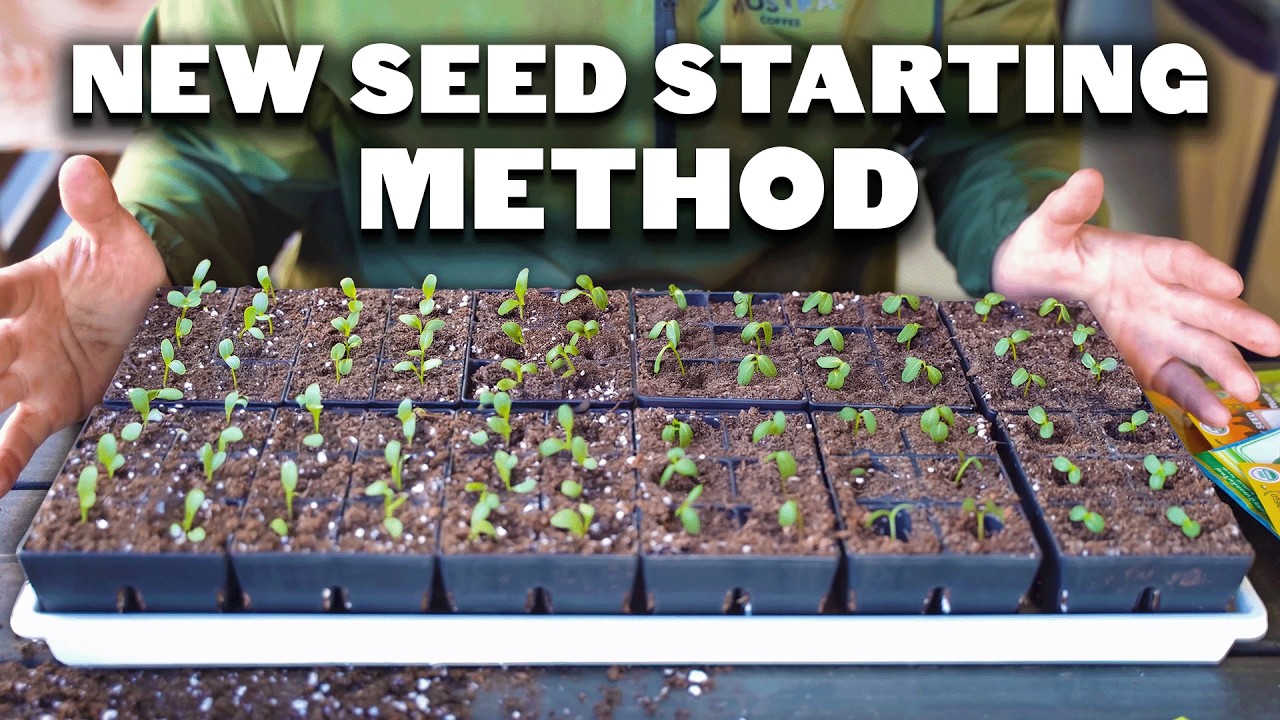 My NEW Favorite Seed Starting Method 🌱🌱🌱