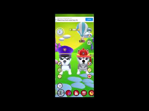 My Talking Husky Dog App - Test Video
