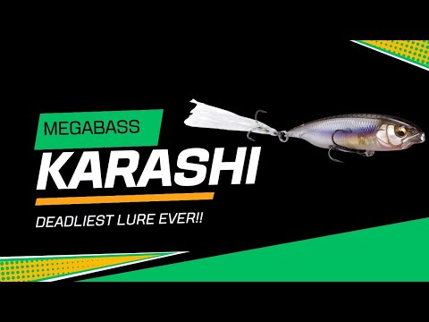 My TOP SECRET favorite fishing lure EXPOSED!! (Megabass Karashi Review)