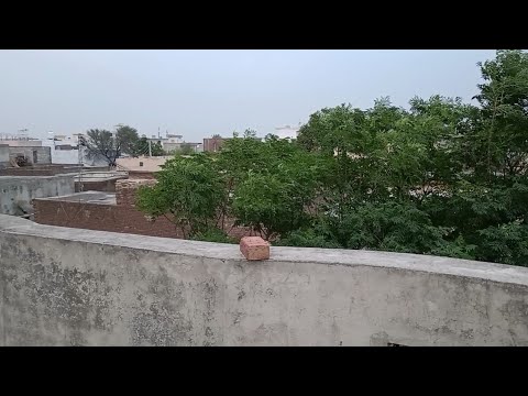 my village - my first vlog - beautiful morning in my village - A beautiful Village In Pakistan