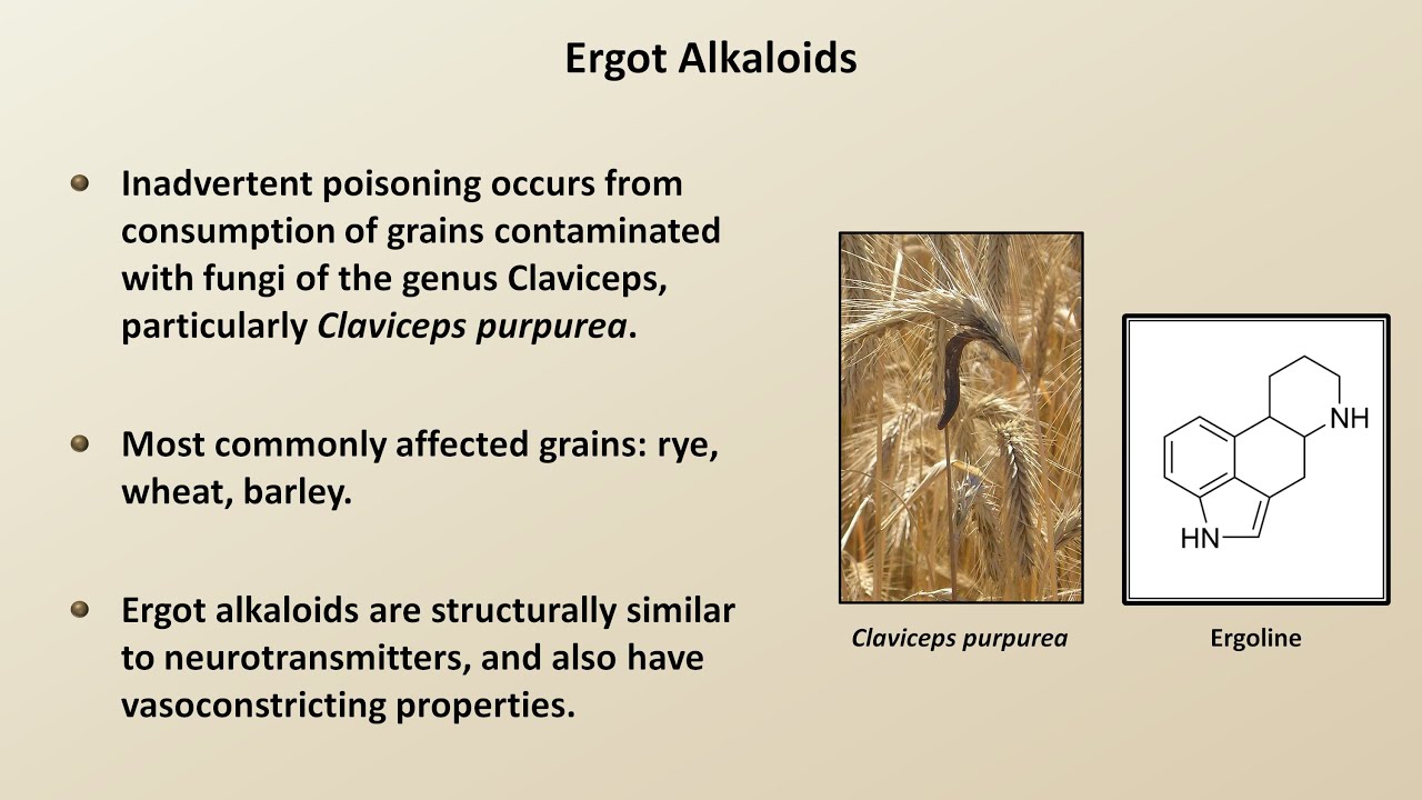 Mycotoxins, Allergies, and Quackery (Fungal Infections - Lesson 3)