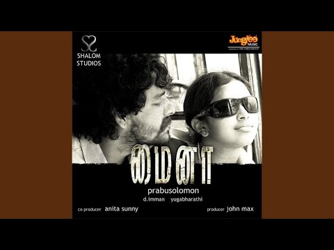 Mynaa Mynaa